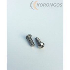 Rozsdamentes D-fejű belsőkulcsnyílású csavar M6x16mm  