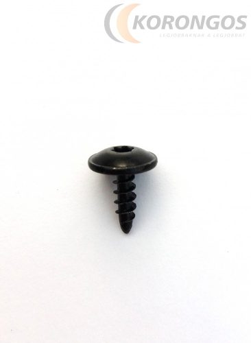 NAGYFEJŰ FEKETE TORX LEMEZCSAVAR 4,8x19mm