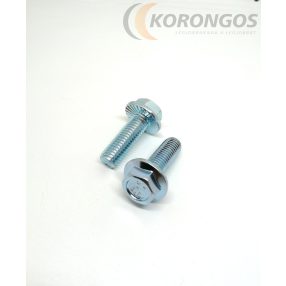 Hatlapfejű peremes csavar  M10 x30