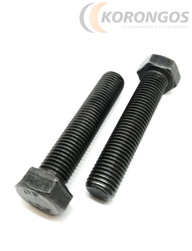 Hatlapfejű acél csavar M20x100